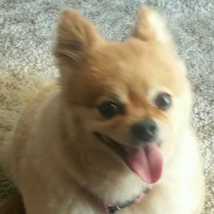 Meet your Posher, Sara